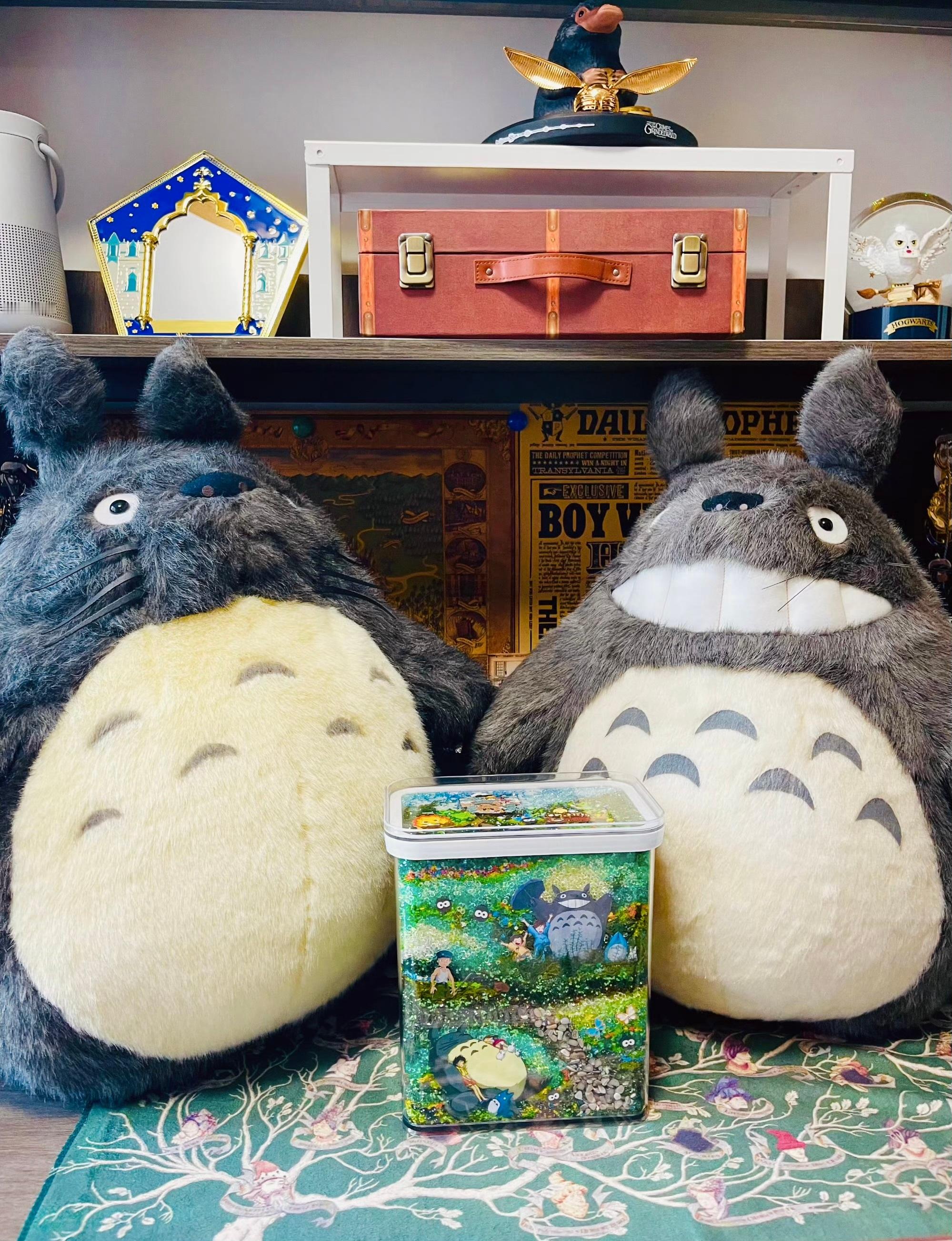 你买过体积最大的公仔是什么？我先说，宫崎骏的龙猫（60cm）！ ​​​