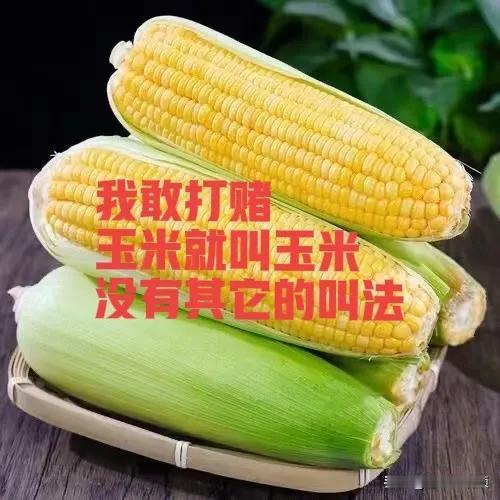 我敢打赌，玉米🌽就叫玉米，没有其它的叫法。各位大佬，你们那里管它叫什么名字，欢