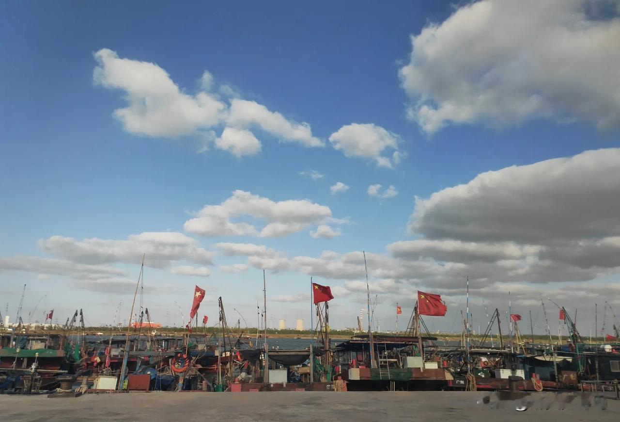 前天驱车400多公里去东营跑了个马拉松，昨天朋友问我枣庄马拉松参加了么，我说没有