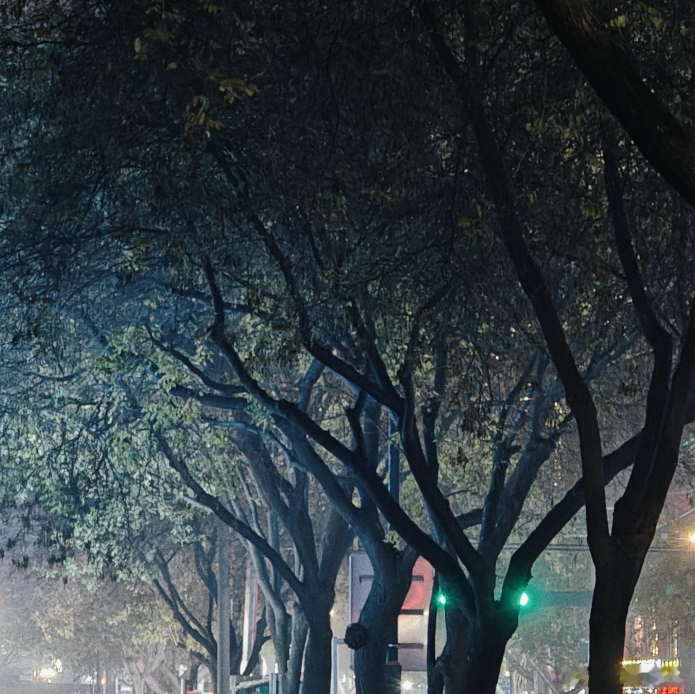 今天从地铁出来，有点雨夹雪，前面有三个大学生模样的小年轻，两男一女，女生给其中一