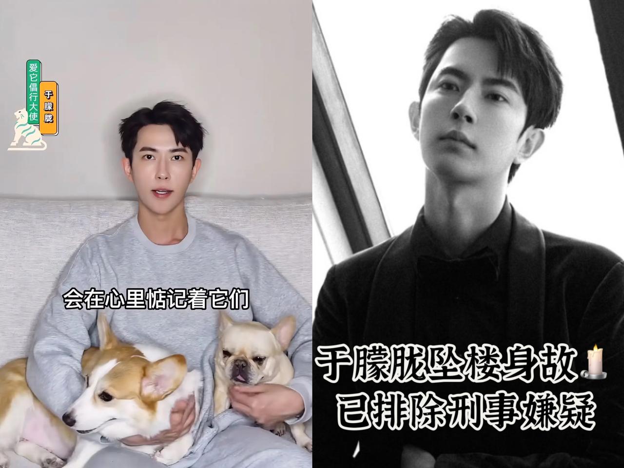 于朦胧走了，

他最放不下的，

除了生他养他的父母，就是他养了6年，如同家人般