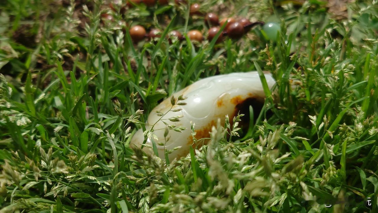 逛古玩市场，听有个商家八卦前两天有个土豪姐姐花了大六位买了个镯子，说自己没接到这