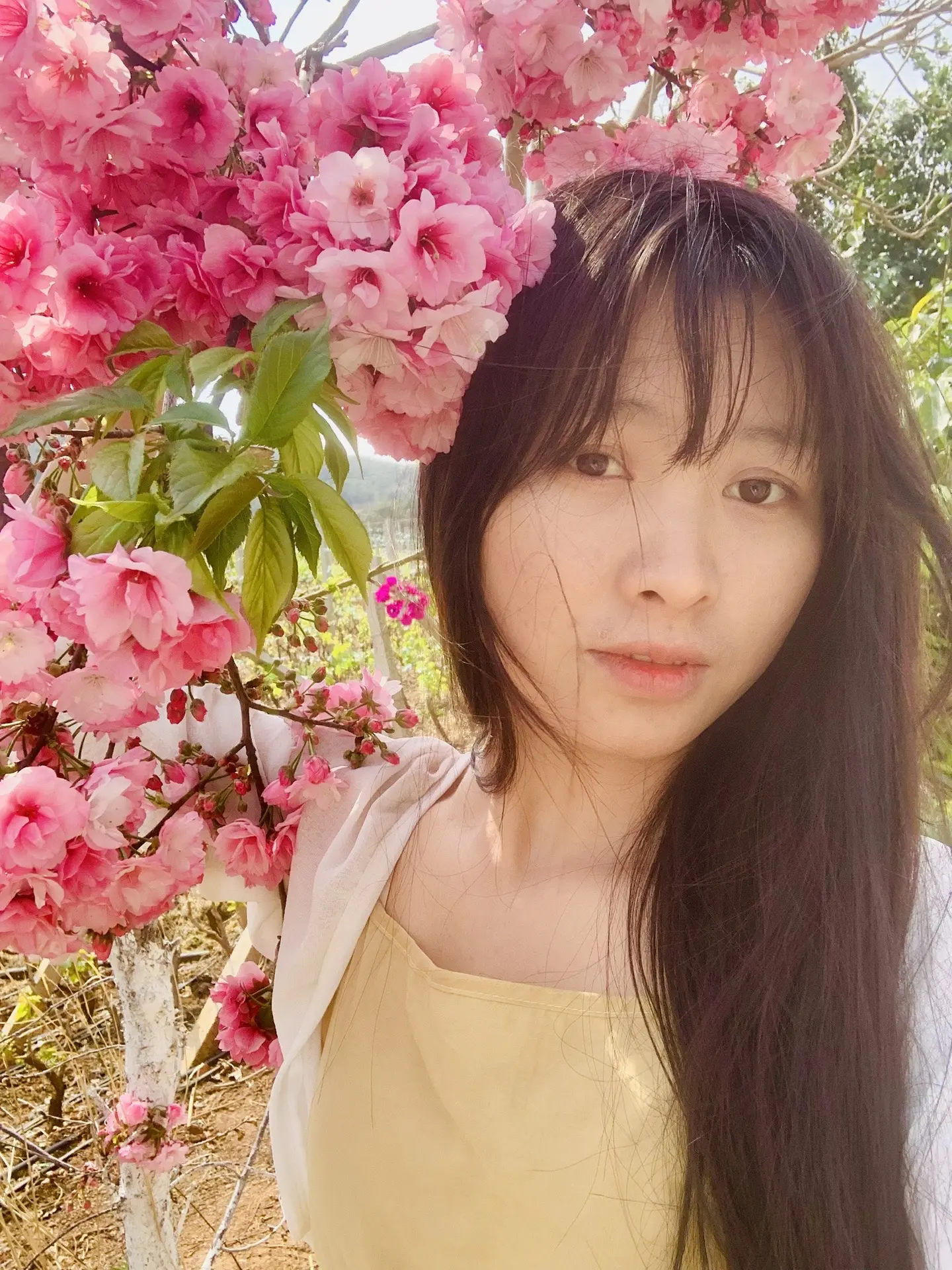 原相机 赏花🌸 春天 和春天的花花合个影吧