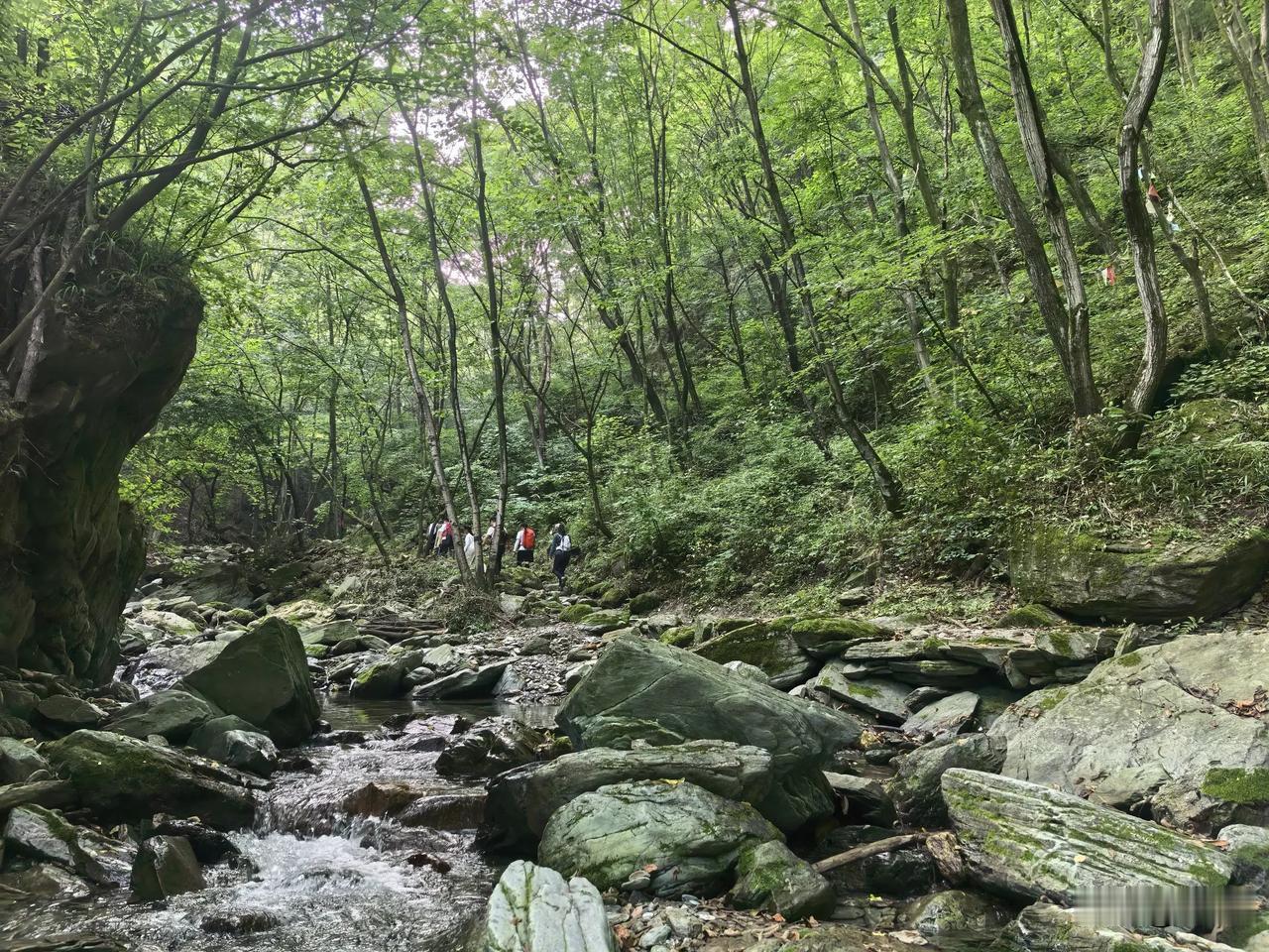 【七绝·登山】
最爱登山臭汗出，
闲云野鹤任凭孤。
悠然醉卧夕阳下，
借得清风踏