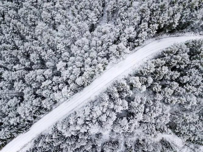 #上联：雾锁青山藏秀色，诚邀下联#
雪封林海隐美额