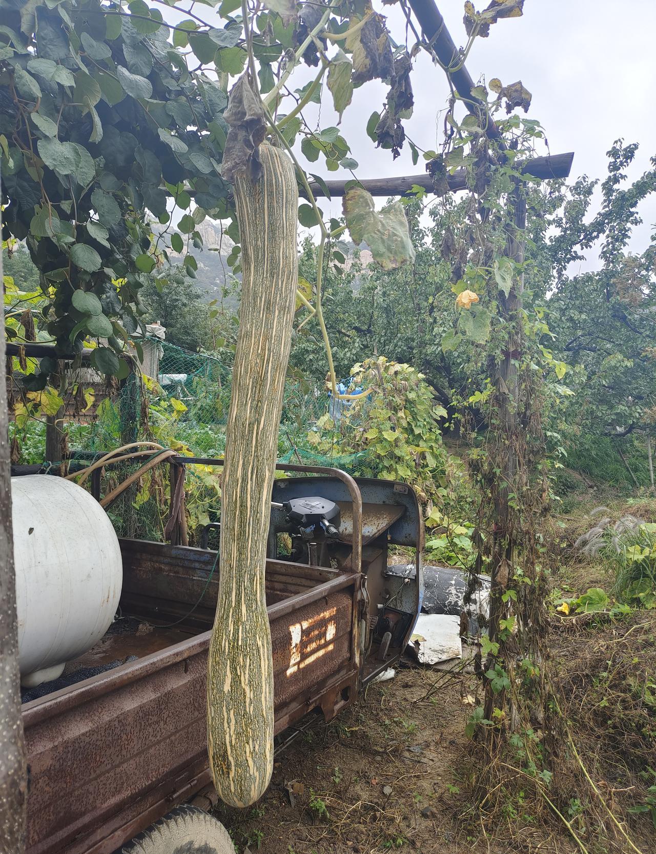 职称评审又开始刷屏了，老师们的电脑里，全是改了八遍的表格。
不是材料不够，是规