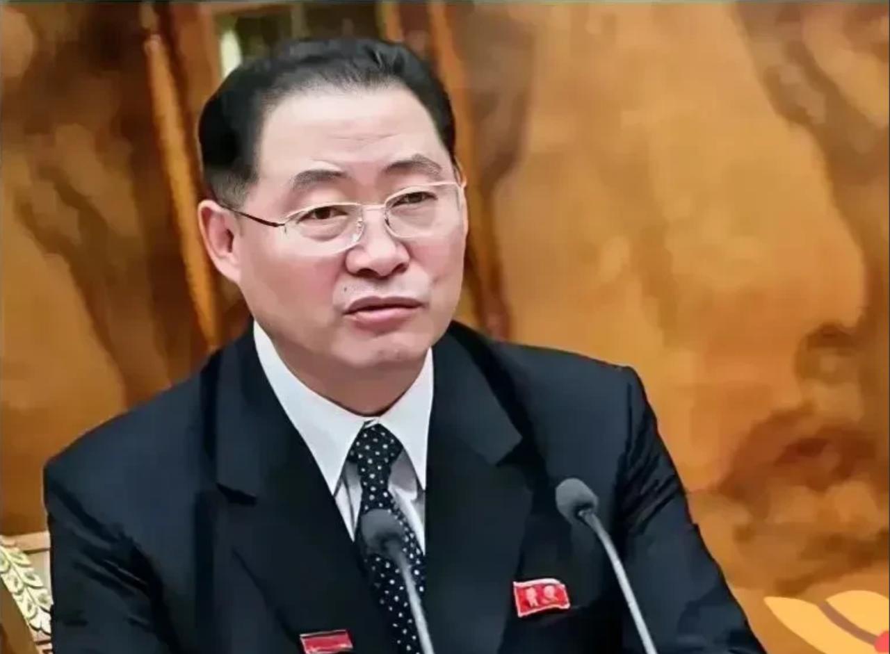 成了，朝鲜访华。

7月10号，朝鲜内阁总理朴泰成率党政代表团抵达北京。官方消息