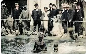 1905年，在法国巴黎，有一张老照片记录了当时欧洲人参观“人类动物园”的场景，照