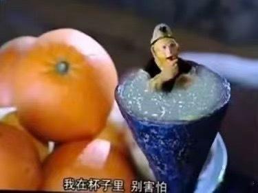 15156我每天对明珠说的话： 