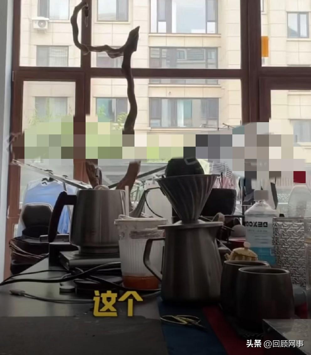 T佑催债李舒克，爆料“临沂饭局”出手阻拦阿黑殴da李舒克！

         