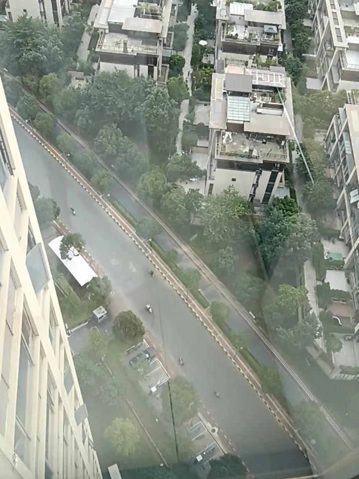 惠州人注意了！
风突然刮起来了，
这是“桦加沙”要来了吗？

上午还是风平浪静的