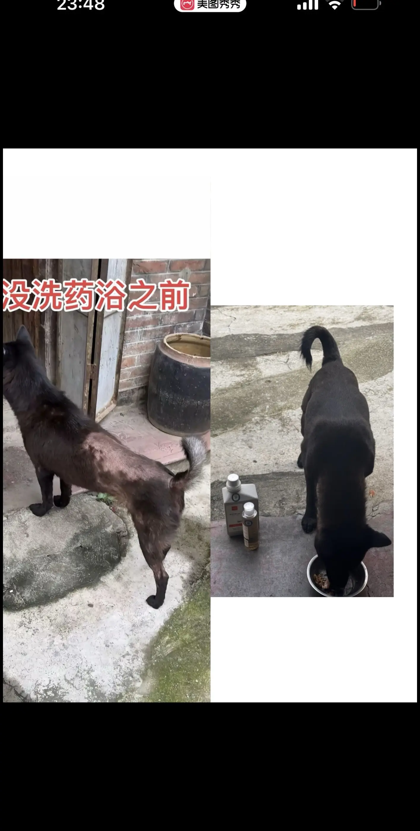 狗狗有皮肤问题，上宠物医院药浴起码要花大几百。推荐大家这款宠物医院都在...