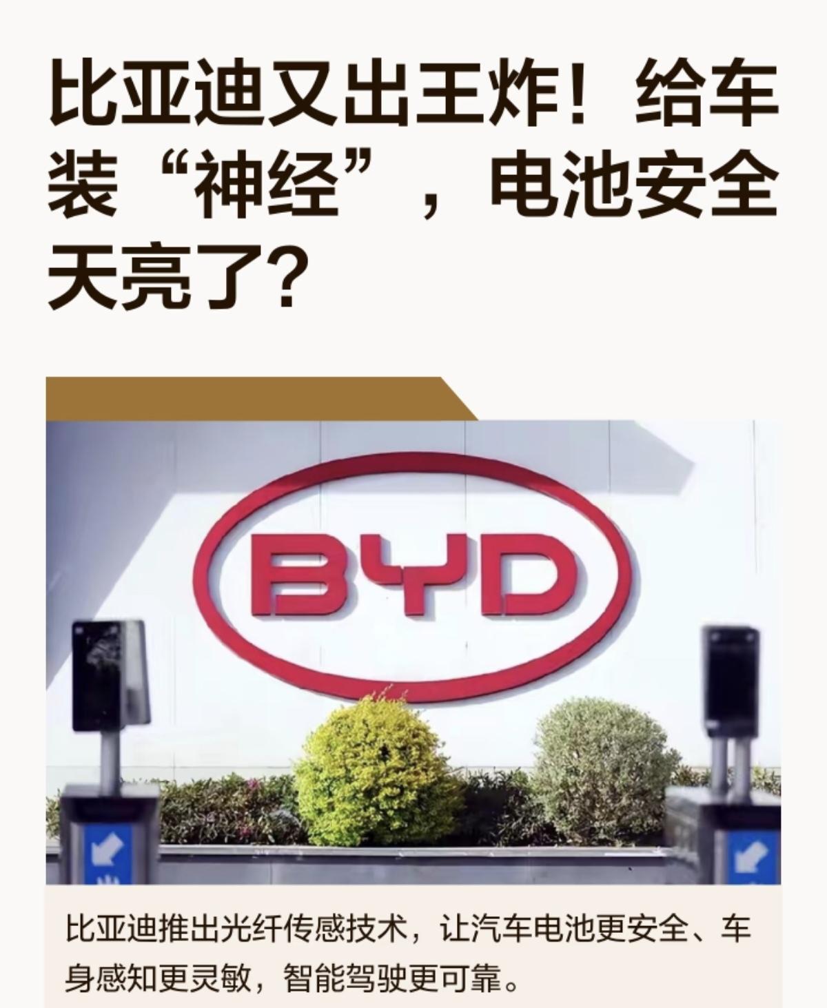 比亚迪又出王炸!给车装