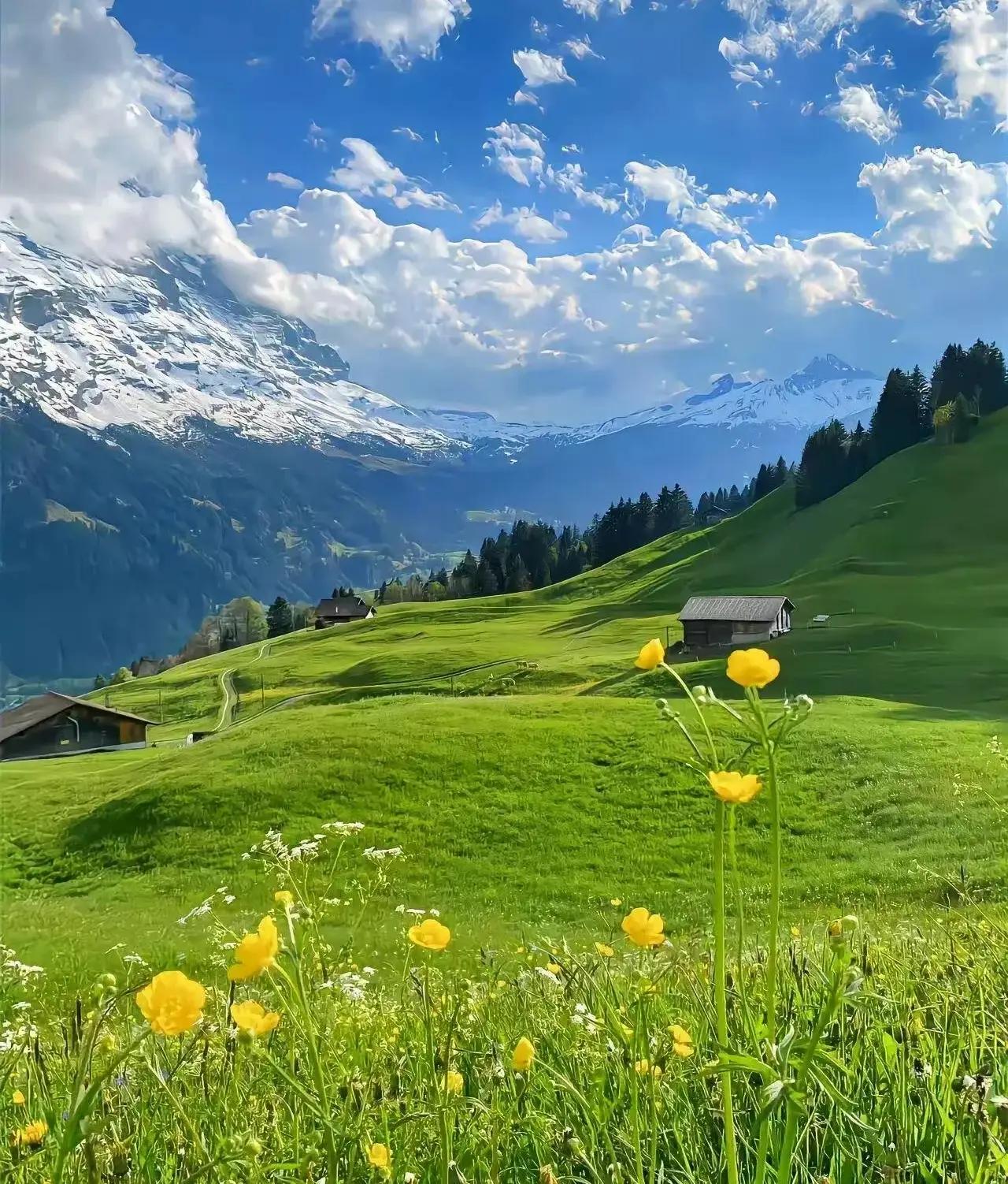 不知你发现没，现在社会真的是变了，过年的时候，家里有闺女的，往往比有儿子的过的更