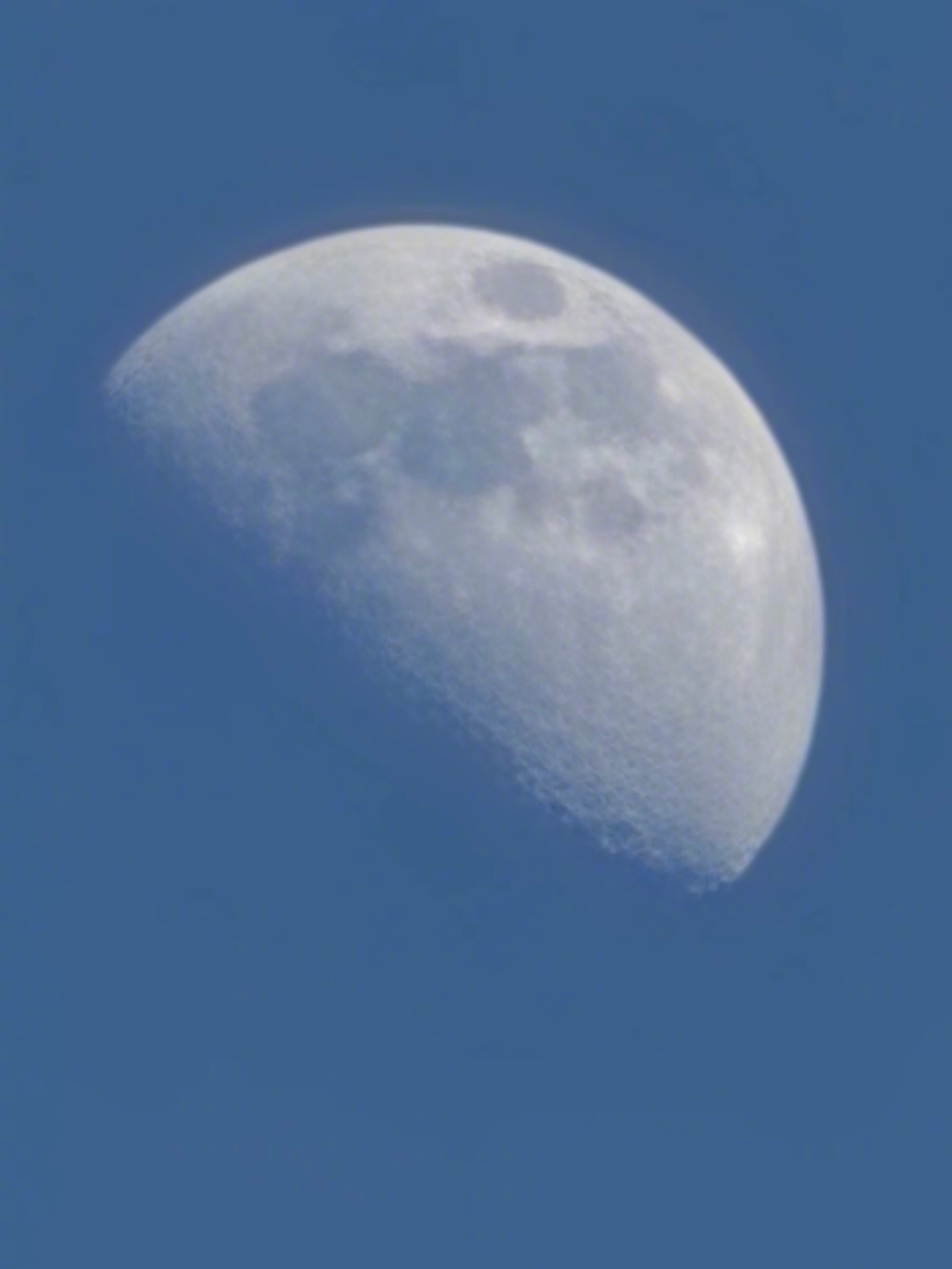 就说大白天看得见月亮吧！ 据说这还是今年最大上弦月呢～～