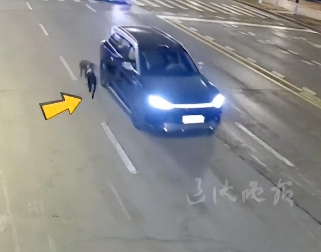 见过遛狗的，见过开车遛狗的吗？
辽宁这两位车主，最近给全网贡献了一个“迷惑行为大