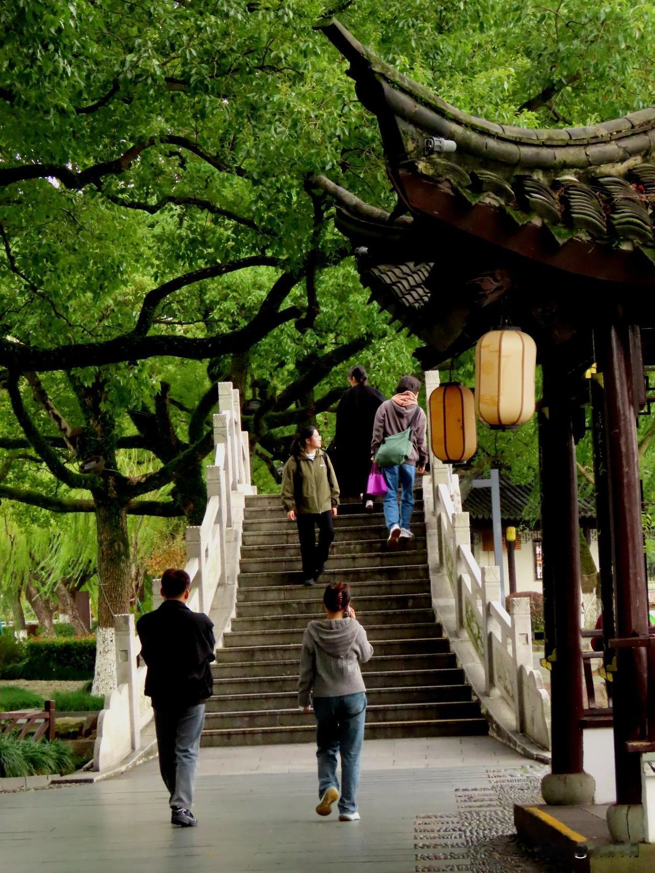 漫步古挢，感受岁月静好。🍃📸
月湖
