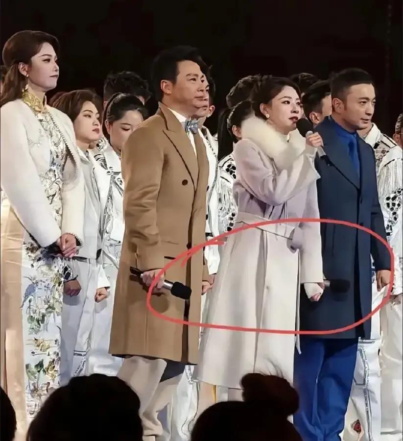 零下7℃穿单衣？央视这次不装了
 
2024跨年夜，北京-7℃，任鲁豫裹着羊毛大