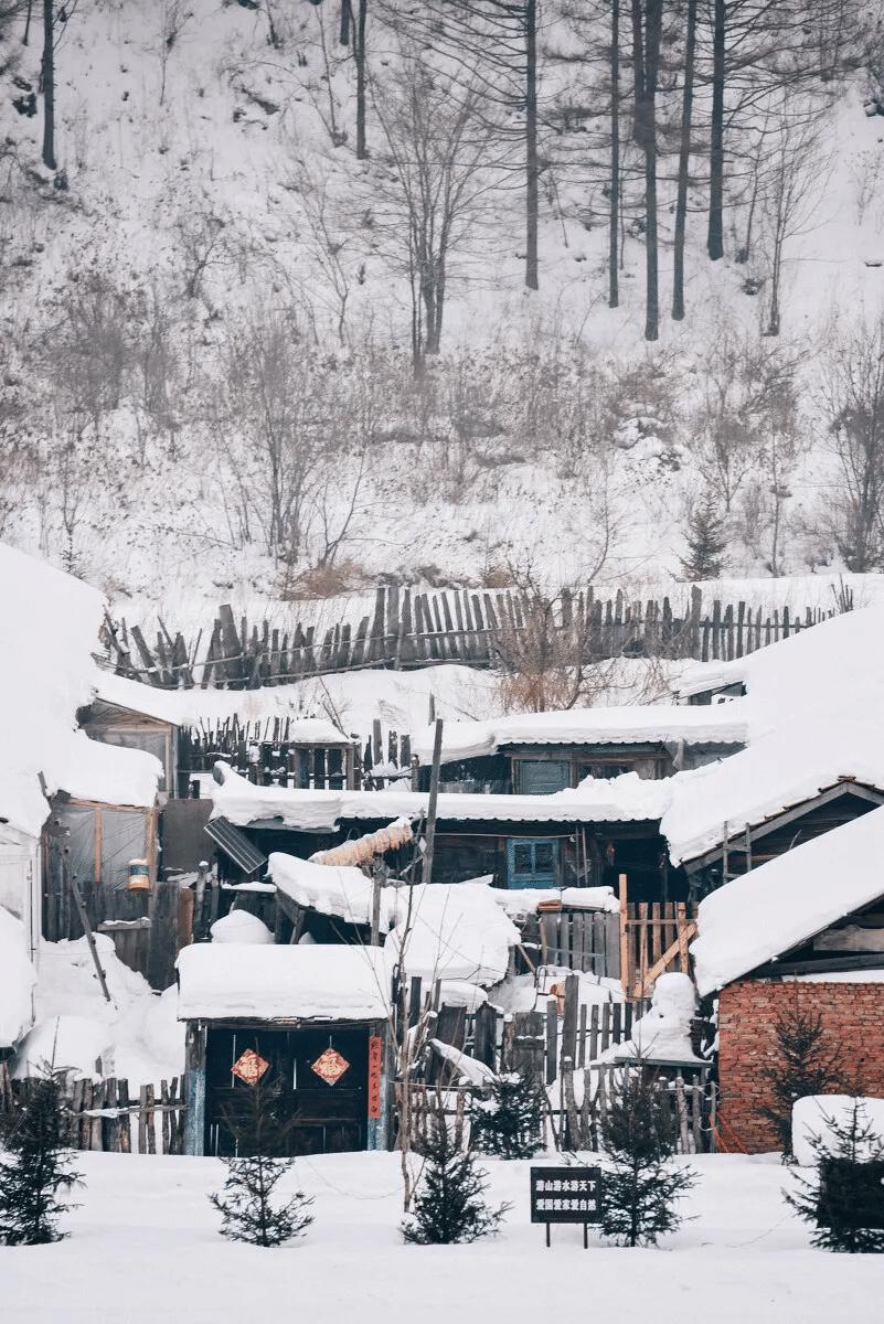 腊月二十三小年那天，沈阳的老张裹着大棉袄去菜市场买年货，手里拎着冻梨、粘豆包，掏