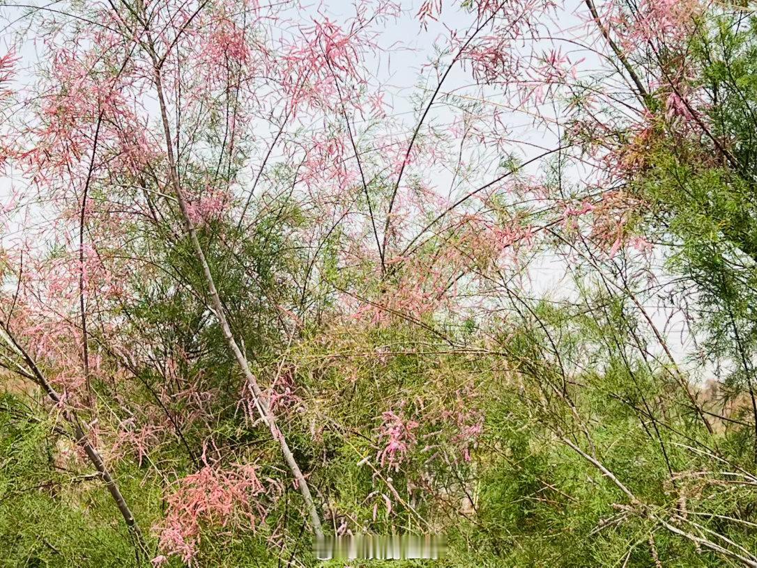 回到城里就有点颓