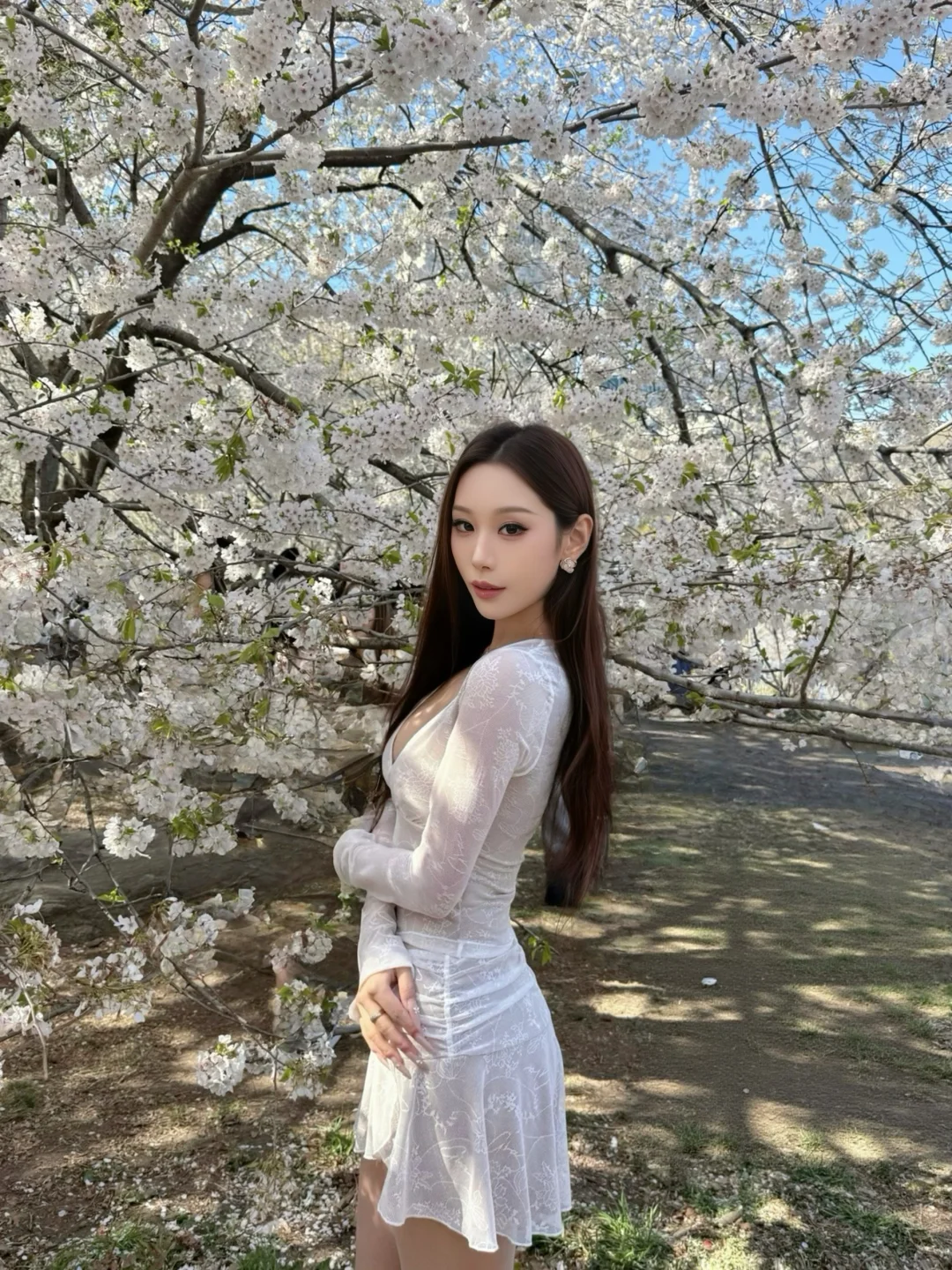 春日樱