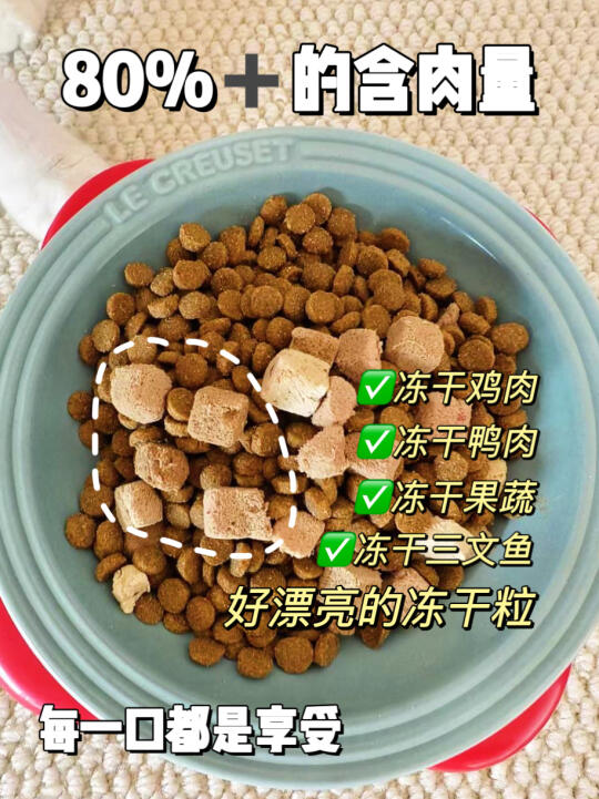 黑下巴克星猫粮！家里的小主可算不油腻了