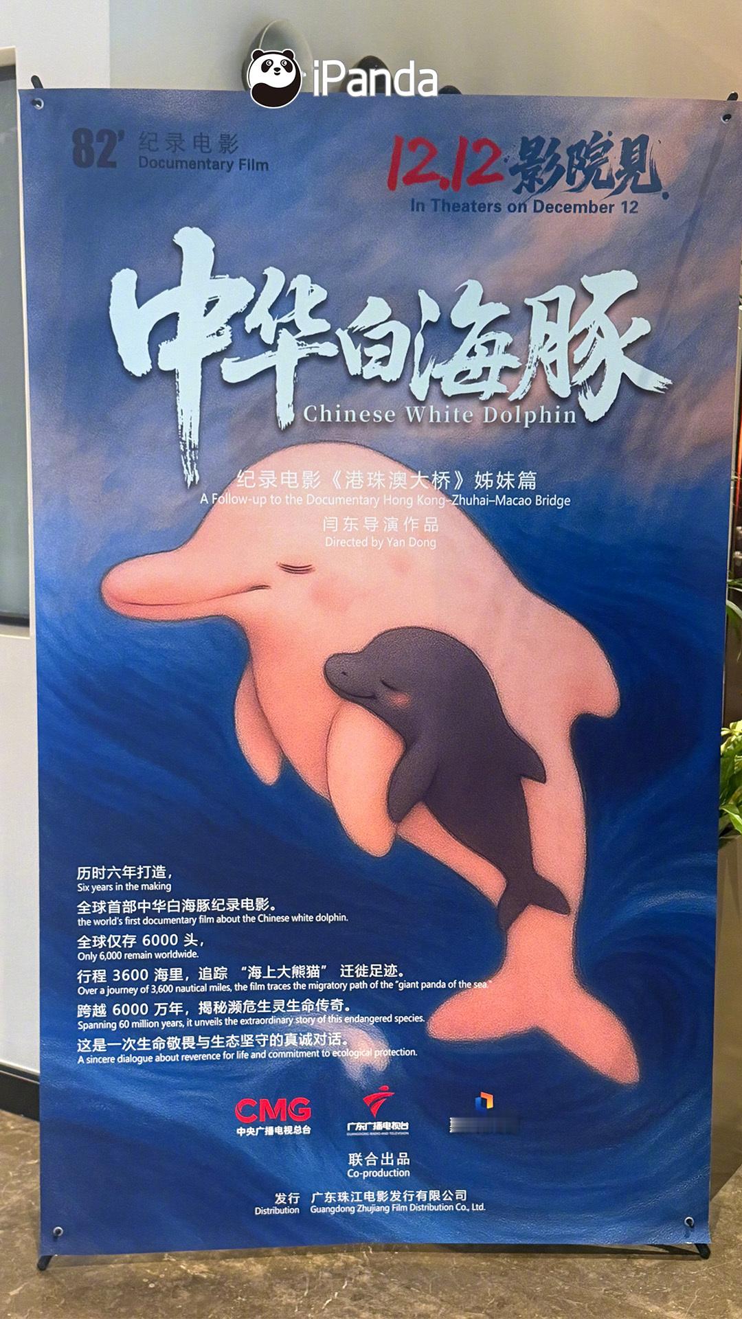 【纪录电影中华白海豚专场放映及主创交流会成功举办】12月10日下午，纪录电影《中