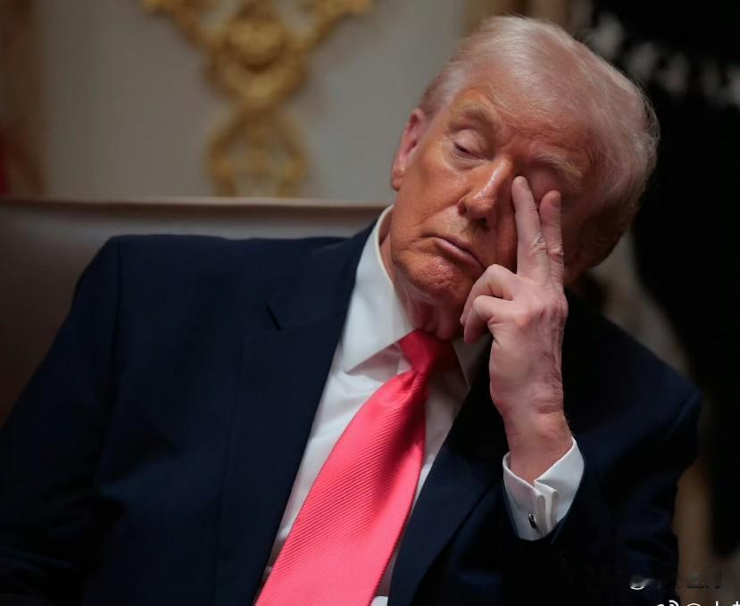 白宫称，特朗普对俄乌双方均感到极度失望，对俄乌问题感到厌倦和沮丧。 ​​​

俄