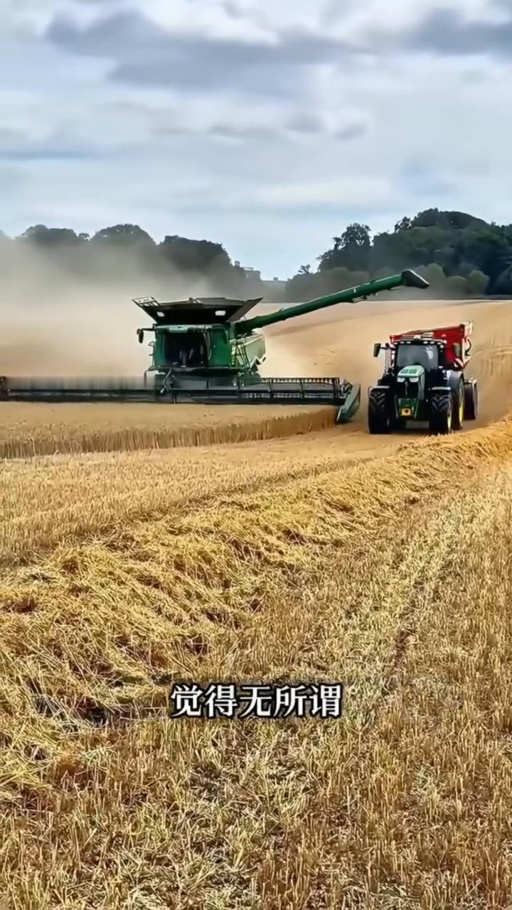 这个农民收割机还在轰隆隆的跑，竟然猫着腰往机器底下塞了个托盘。你是不是以为他在偷