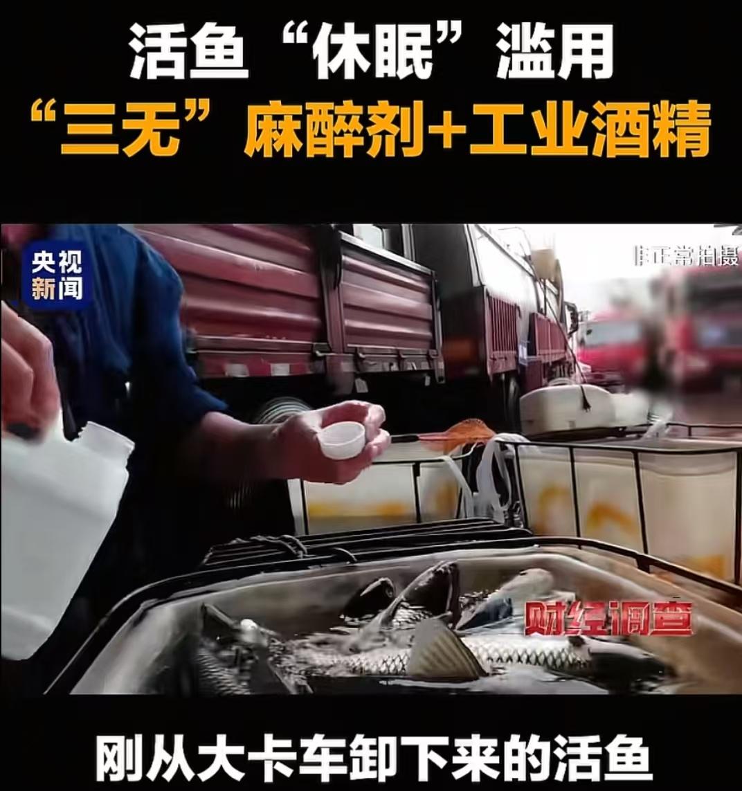 喜欢吃鱼的天塌了，你买回家的活鱼可能比死鱼毒更多，最近媒体曝光为了降低活鱼运输的