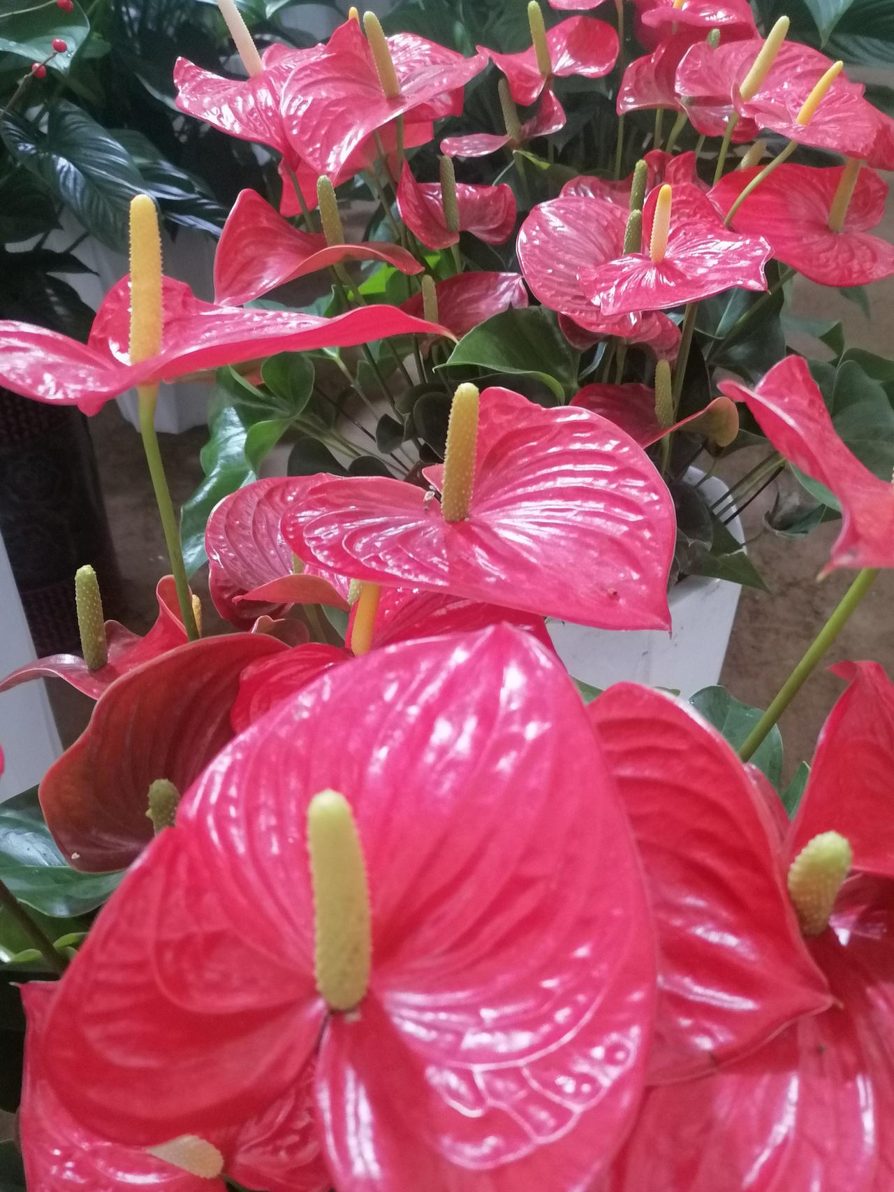 为那些迷茫的人送一句话迷茫时别怕停顿，人生不是直线赛道。你走的每一步都算数，包括