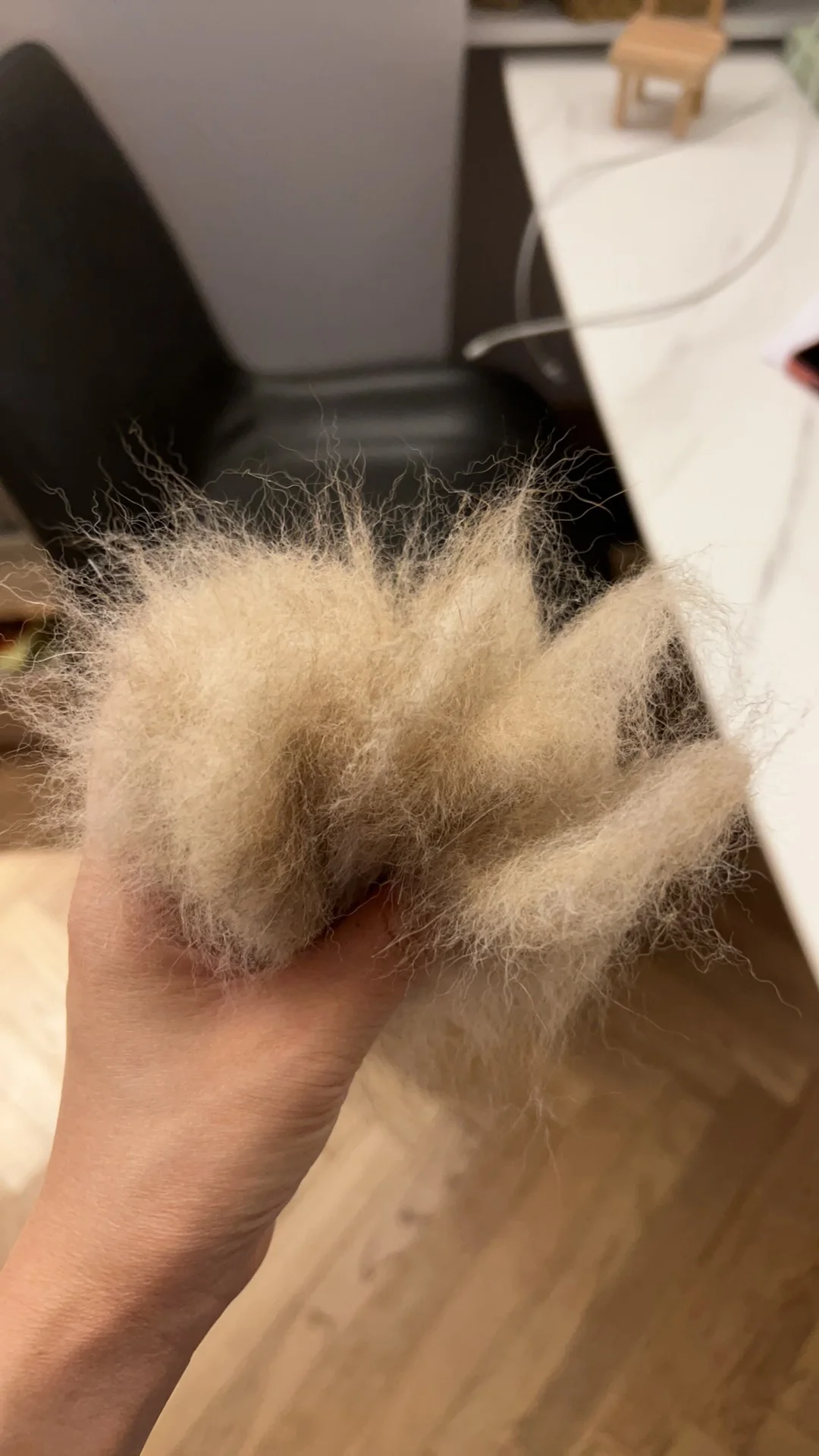 一张没有狗的照片证明你养了柴