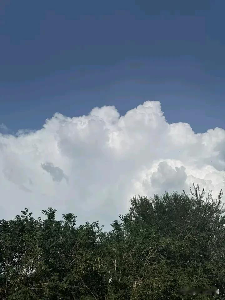 近期我一直做一件只有我自己知道的事，已经准备了好久，不是舍不得钱，是真的不想这样