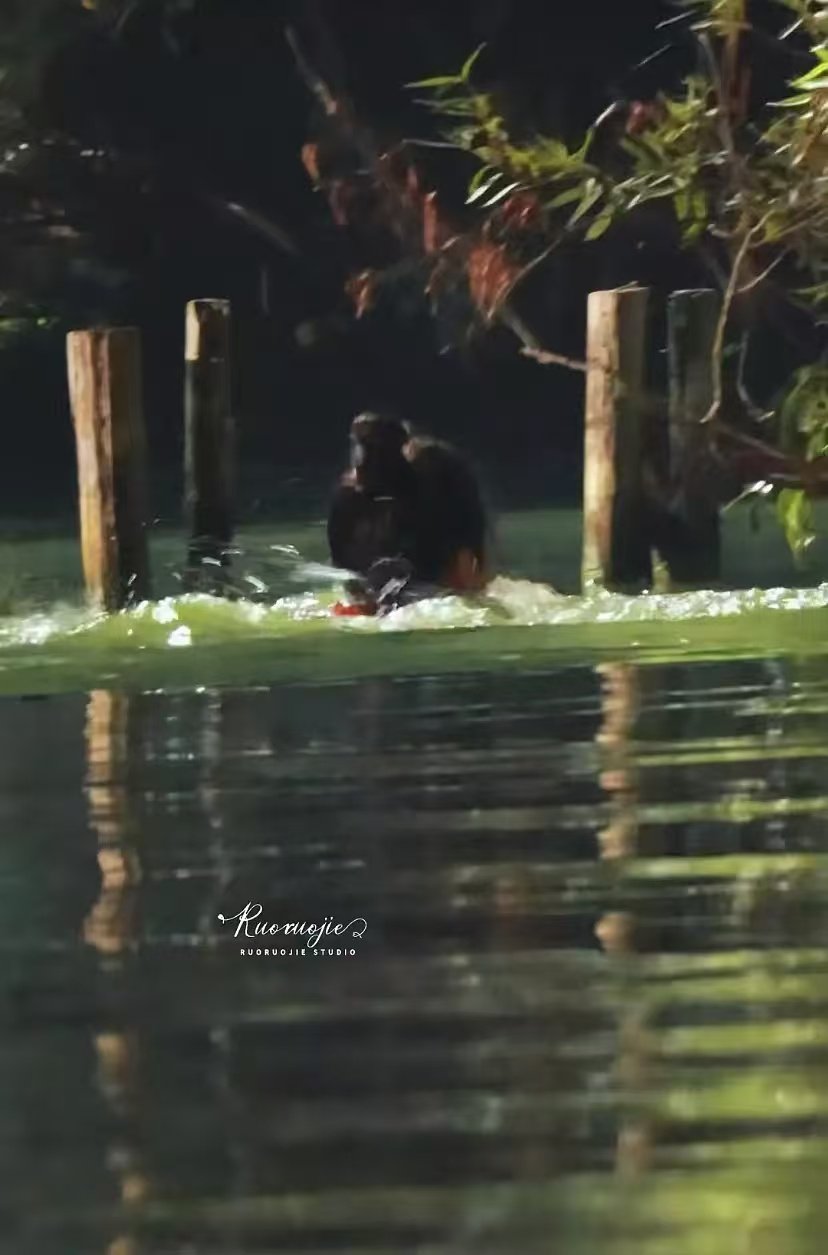 成毅也太敬业了成毅拍两京十五日水下环境成毅好敬业！两京十五日拍戏的地方绿水直接下
