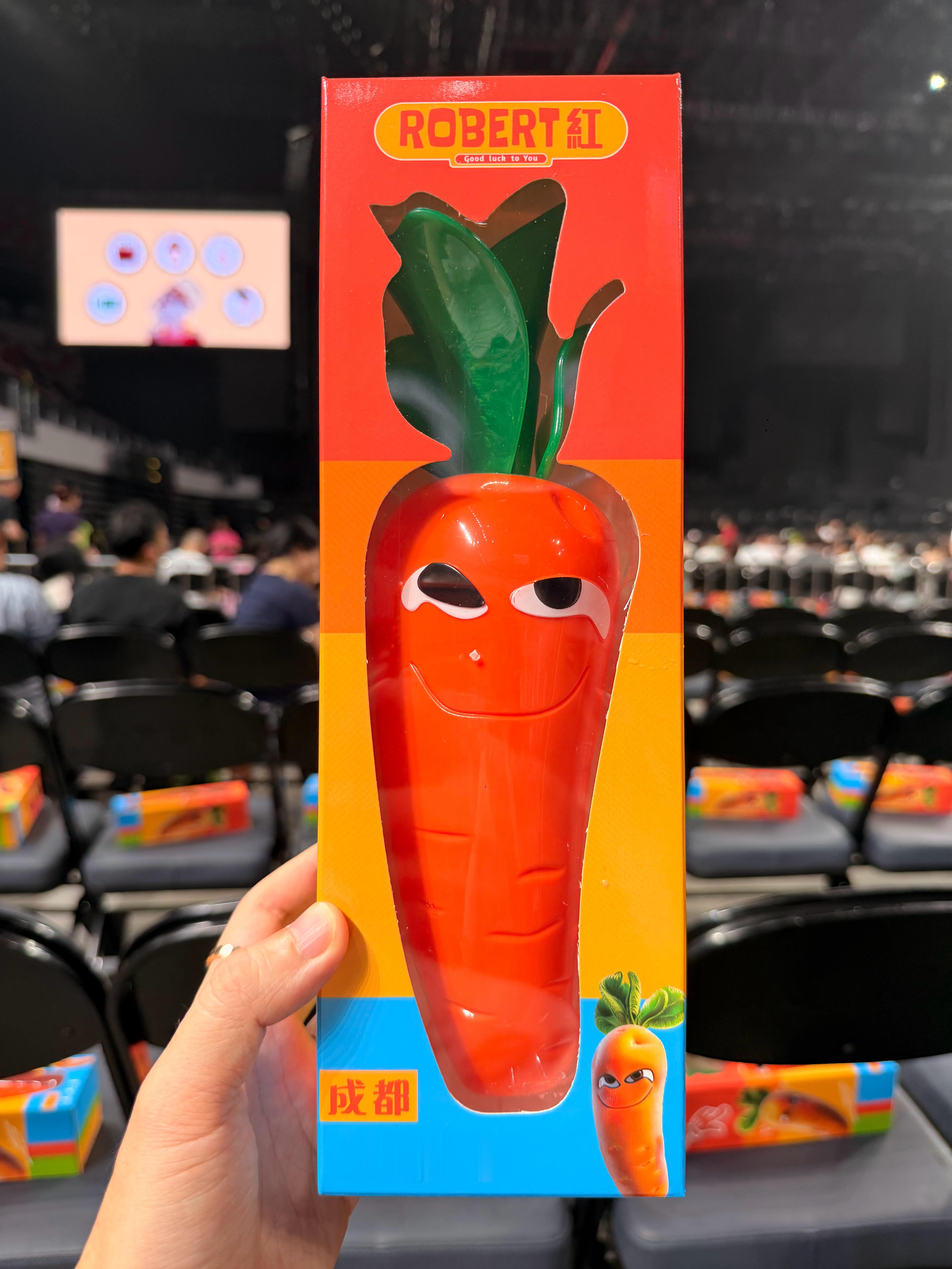 红萝卜开会🥕黎明ROBBABA演唱会2026黎明成都演唱会 成都·东安湖体育公