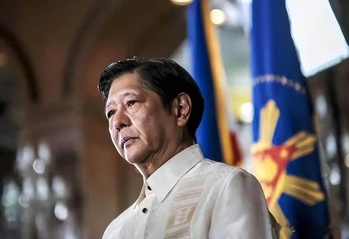 美日只是在利用菲律宾搅动南海局势，真到了关键时刻，没有人会帮助菲律宾，更没有人在