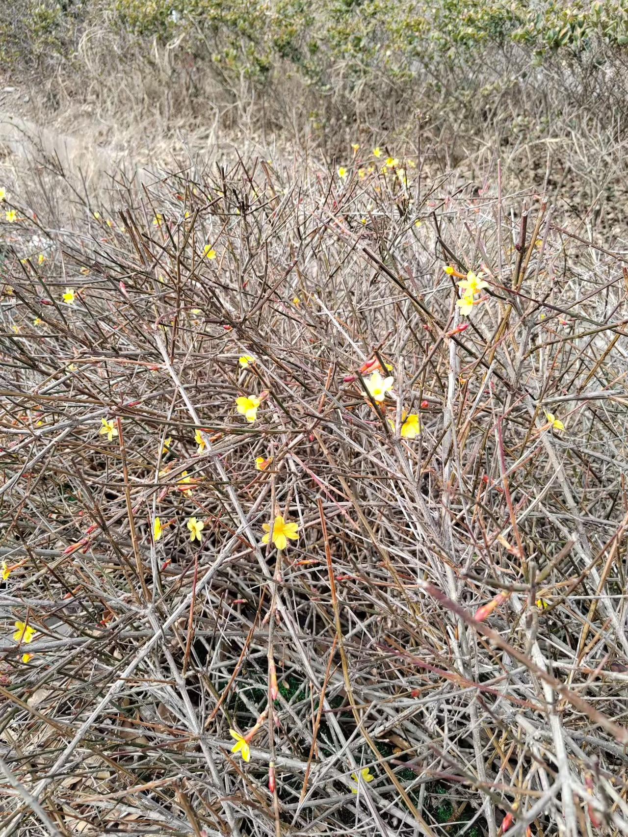 早上上班的时候又看见了小区捡垃圾的老太太。

这个老太太看起来有70多岁了，不论