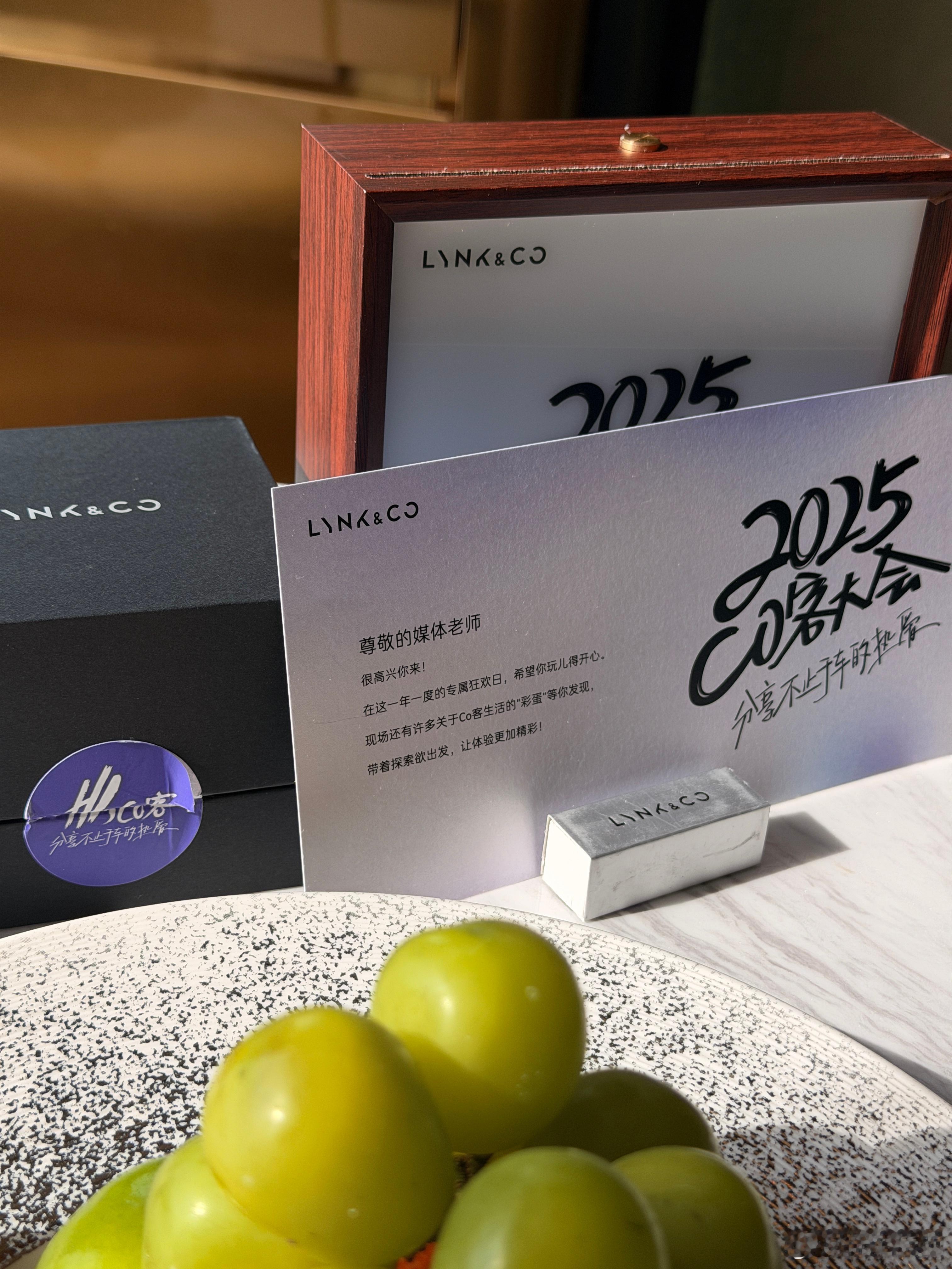 领克车主🚗聚会杭州！今儿有一台帅帅的车，等我给你们拍哦 杭州