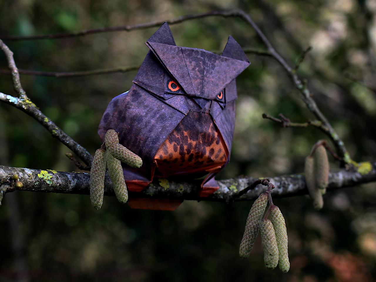 这是一只用折纸制作并上色的猫头鹰，栩栩如生。