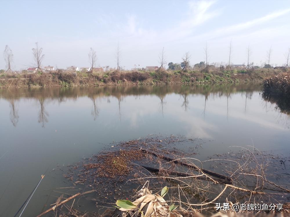 今天可把我那钓友给整不会了，坐了一天，一条没见着。
 
为啥？天突然降到十来度，