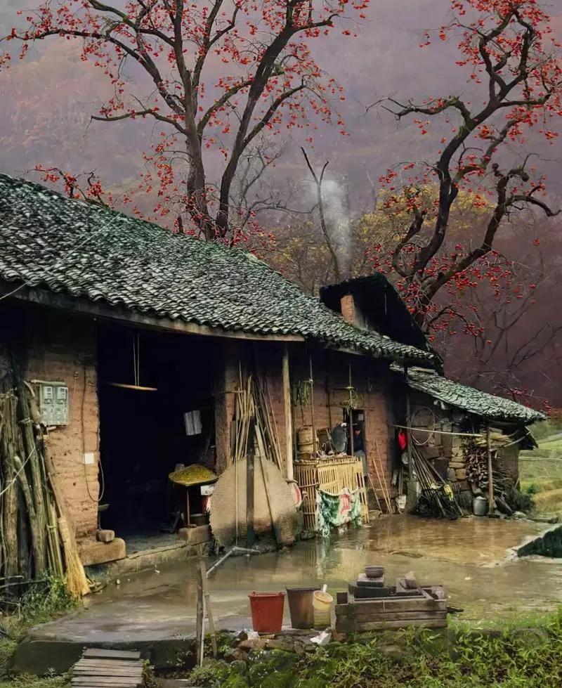 半山深处小矮房，
土墙破瓦呈荒凉。
门前柿树今犹在，
不见当年摘柿童。
早上好，