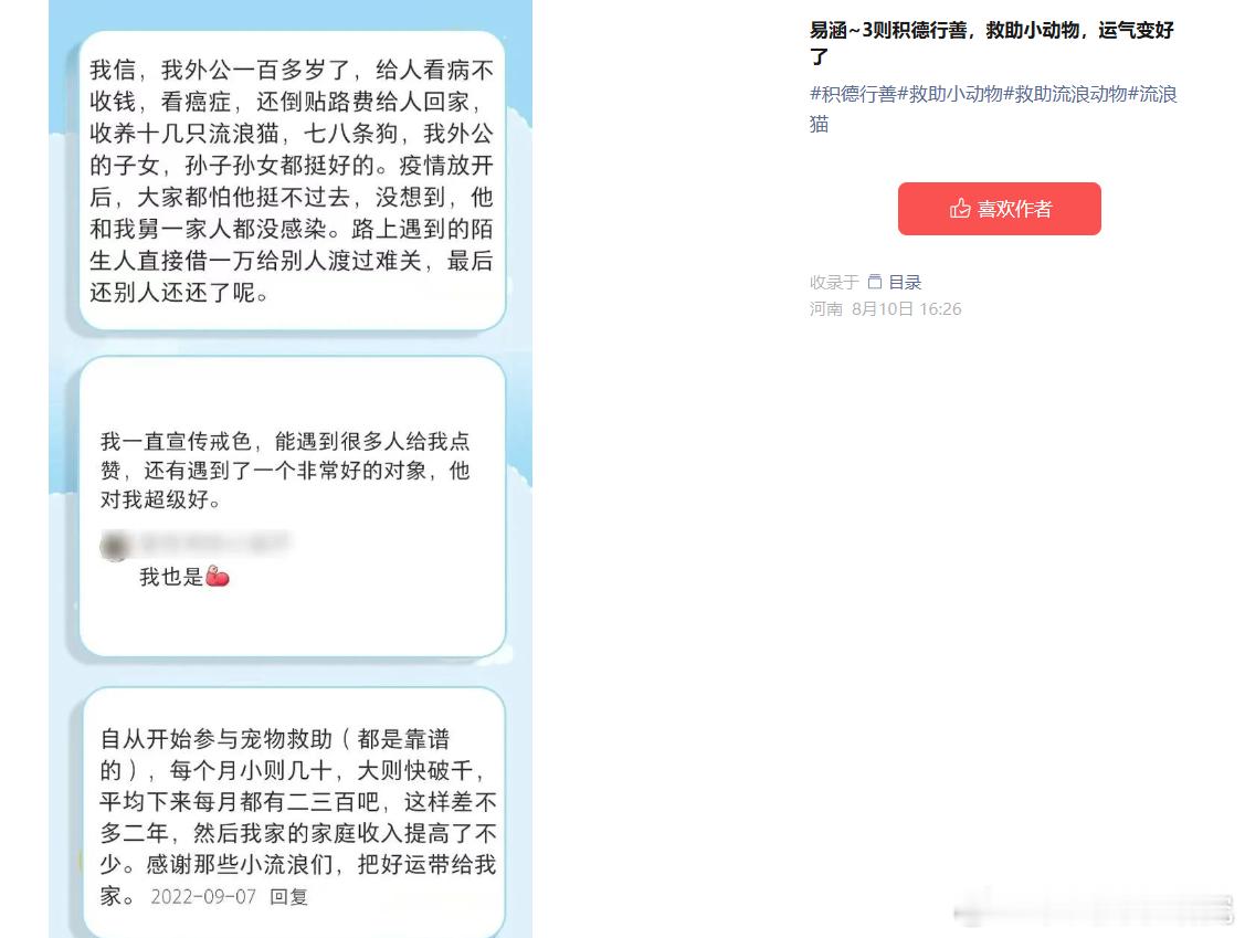 我的新公主号。喜欢可以关注一下哦。公益流浪猫喂养流浪猫