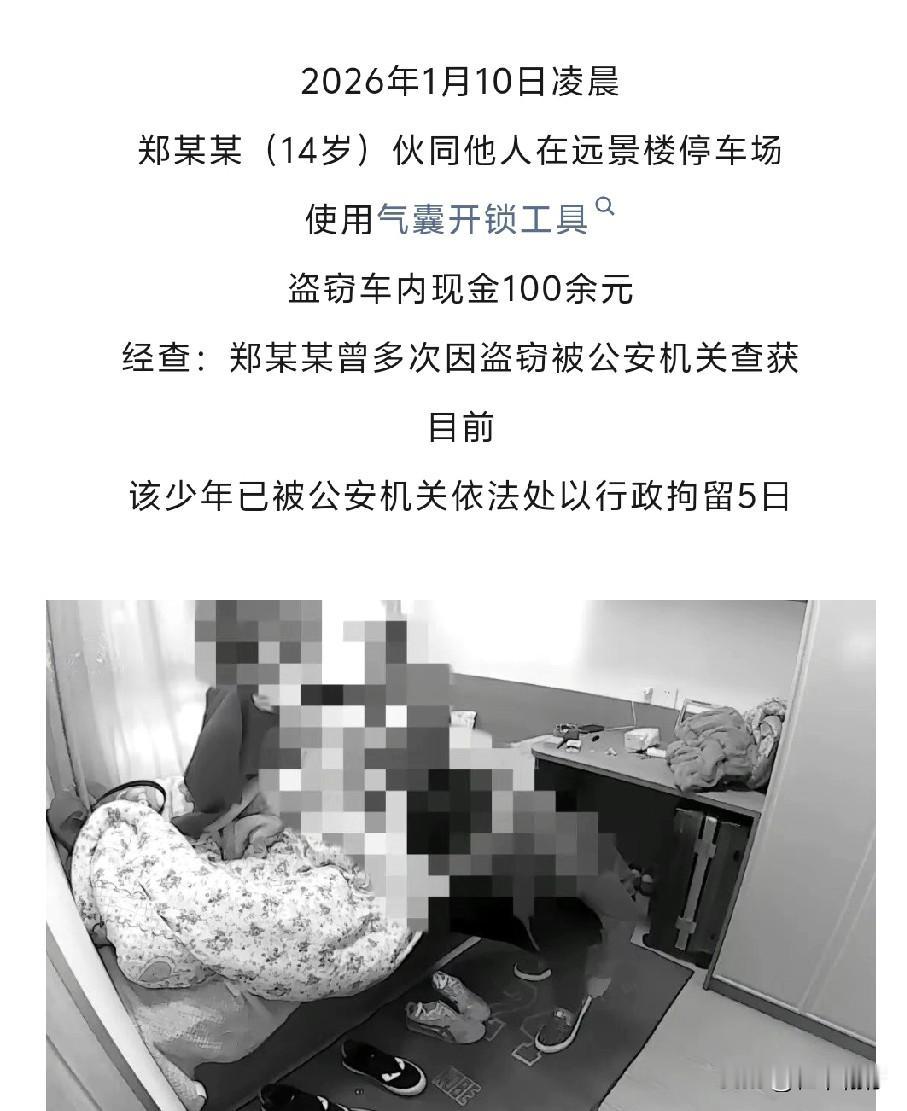 2026年1月10日凌晨郑某某（14岁）伙同他人在眉山远景楼停车场使用气囊开锁工