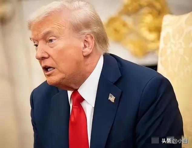 特朗普今天发文说：“即刻生效：我已下令美国国际开发金融公司（DFC）以极为合理的