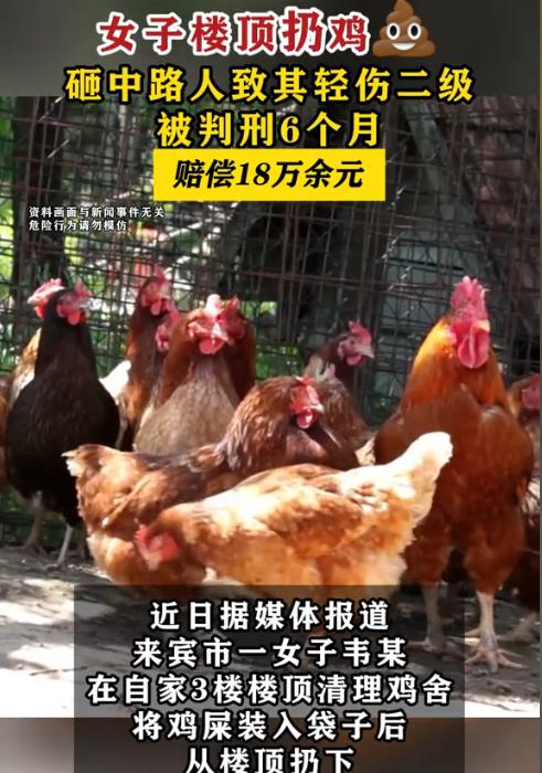 “这下后悔了吧！”近日，广西来宾，一女子在楼顶养鸡，这天给鸡清完粪便后，为了图方