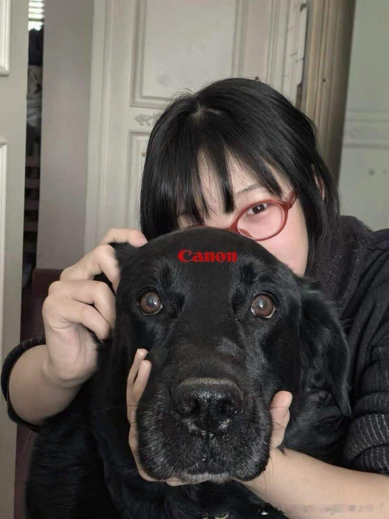 佳能狗头 ​​​