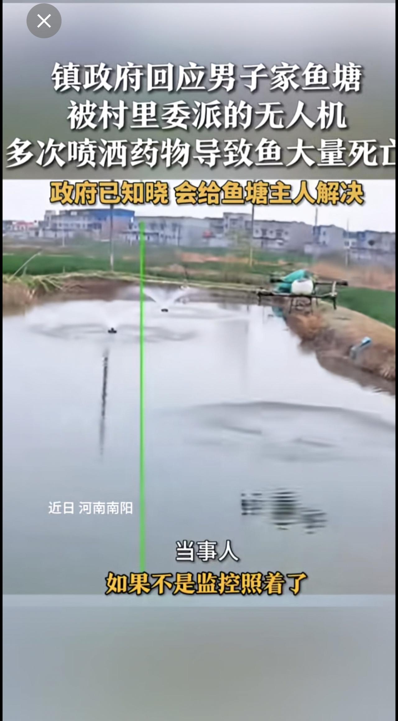 近日，河南南阳。男子家鱼塘被村里委派的无人机多次喷洒药物导致鱼大量死亡。当地镇政
