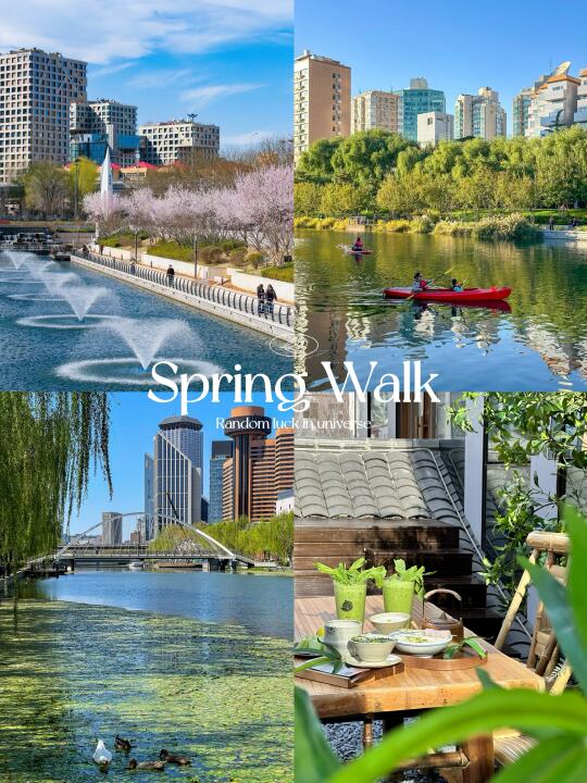 这大概是北京春天蕞chill的citywalk路线🌸