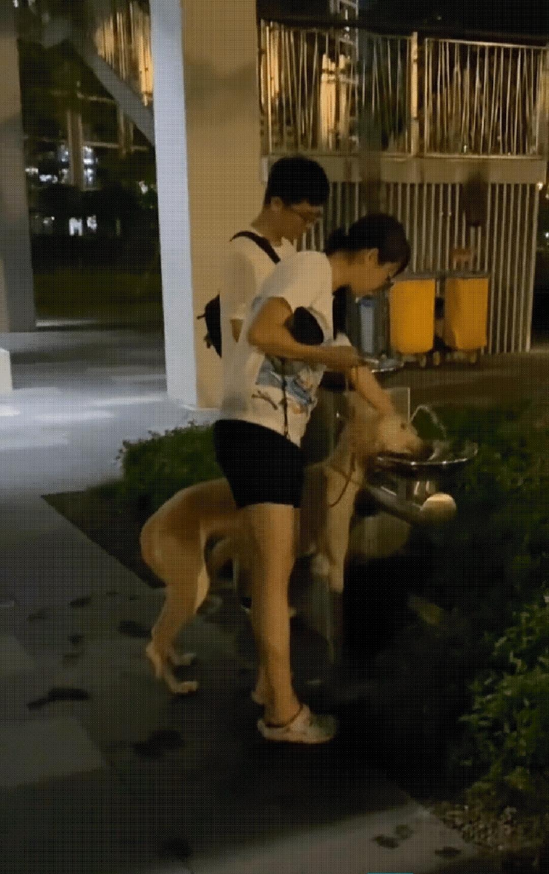 看着挺帅气的一对男女，干的却是令人厌恶的事情。你看，他俩居然让他的大狗在工人们饮