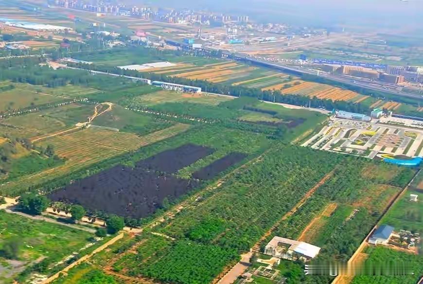 天己深秋，地呈金黄。